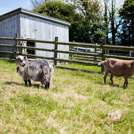Sharlands Farm Holiday Cottages Bude Ngoại thất bức ảnh